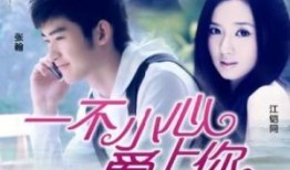 一不小心爱上你在线观看,浪漫邂逅，心动瞬间